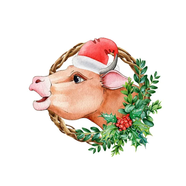 Cute bull (cow) in red santa hat and christmas wreath watercolor illustration. Hand drawn zodiac symbol of 2021 new year. Cartoon ox or bull in christmas hat. New year mascot on white background — Stock Photo, Image