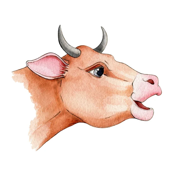 Funny red cartoon bull or cow watercolor illustration. Hand drawn cute zodiac symbol of 2021new year. Sweet cartoon farm animal portrait element. Happy ox isolated on white background — Stock Photo, Image