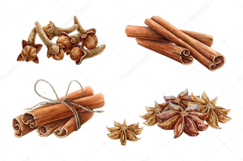 Cinnamon, star anise and clove watercolor illustration set. Hand drawn close up aromatic dry spices for mulled wine collection. Healthy organic herbs for cooking isolated on white background