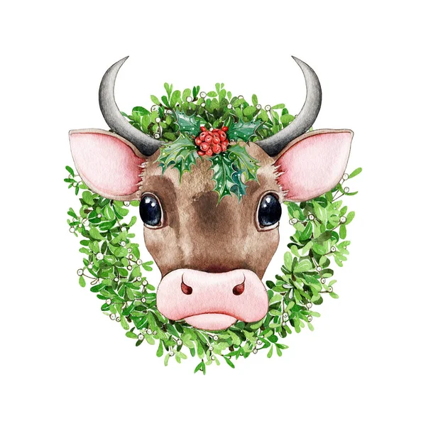 Cute bull (sapi) dengan hiasan bunga natal cat air. Tangan digambar simbol zodiak tahun baru 2021. Kartun lembu atau banteng dengan suci dalam karangan bunga mistletoe. Maskot tahun baru dengan latar belakang putih — Stok Foto