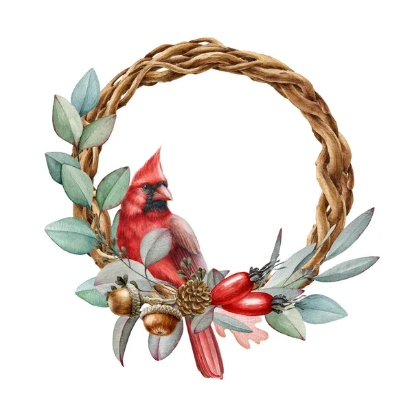 Corona festiva de invierno con ilustración de acuarela de pájaro cardenal rojo. Hermoso marco decorativo de temporada redonda con hojas de eucalipto natural, cono de pino, bellota y fruta de escaramujo sobre fondo blanco —  Fotos de Stock