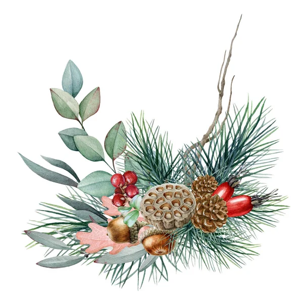 Χειμώνας floral φυσική διάταξη ακουαρέλα απεικόνιση. Χειροποίητη ρουστίκ διακόσμηση με πεύκα, φύλλα ευκαλύπτου, βελανίδια, μούρα και αγριοτριανταφυλλιές. Εποχιακή φυσική διακόσμηση σε λευκό φόντο — Φωτογραφία Αρχείου