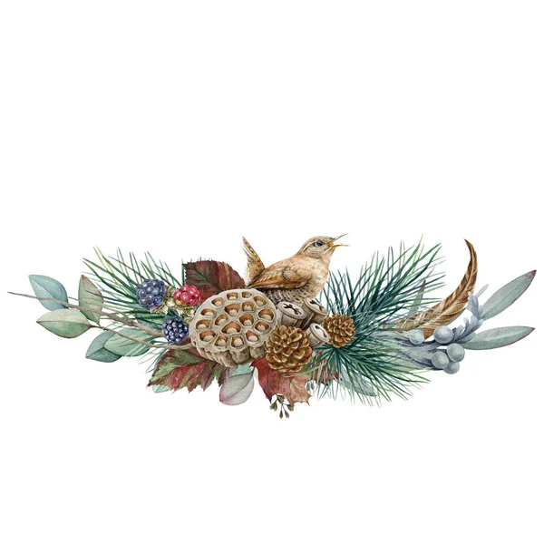 Arranjo de inverno sazonal floral ilustração aquarela. Decoração rústica desenhada à mão com pássaro wren, folhas de eucalipto, cone, lótus seco e amora. Inverno decoração festiva no fundo branco — Fotografia de Stock