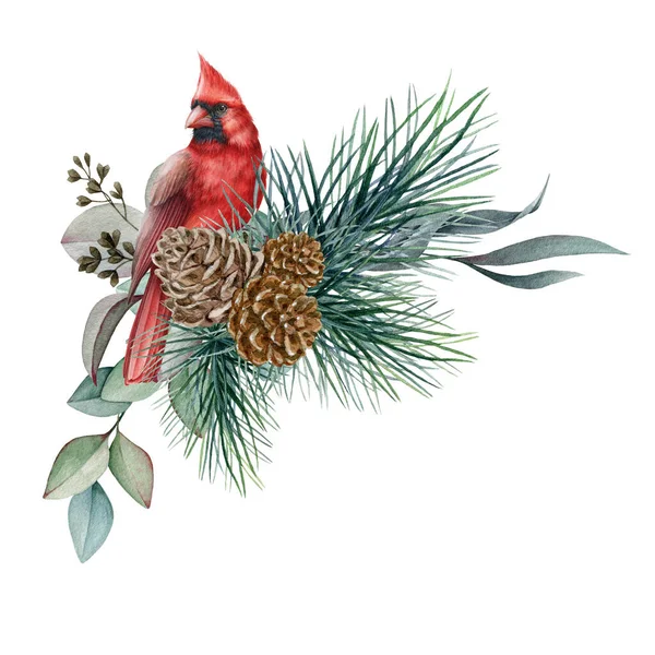 Invierno arreglo rústico floral acuarela ilustración. Decoración natural dibujada a mano con pájaro cardenal rojo, pino, cono, hojas de eucalipto. Decoración navideña estacional aislada sobre fondo blanco — Foto de Stock