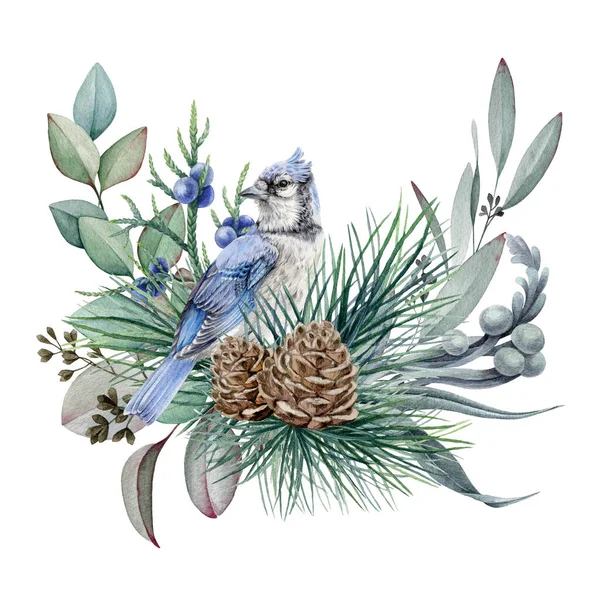 Floral rustic winter arrangement watercolor illustration. Hand drawn natural decor with blue jay bird, pine, juniper, eucalyptus leaves. Christmas season decoration isolated on white background — Stock Photo, Image