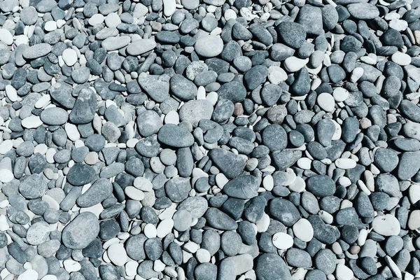 Textura de seixo, praia de pedra, pedras azuis — Fotografia de Stock