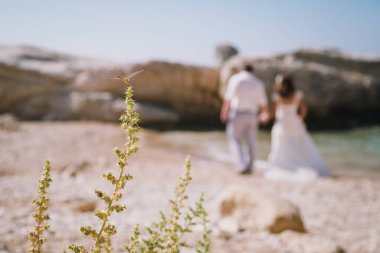 Arka plan, okyanusun önündeki kayalıklarda duran evli bir çift. Sadece arkadan evlilik manzarası. Denizde balayı.