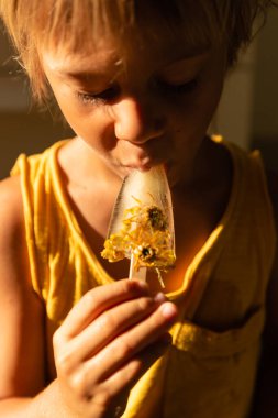 Bebek el yapımı buzlu şeker yiyor.. 