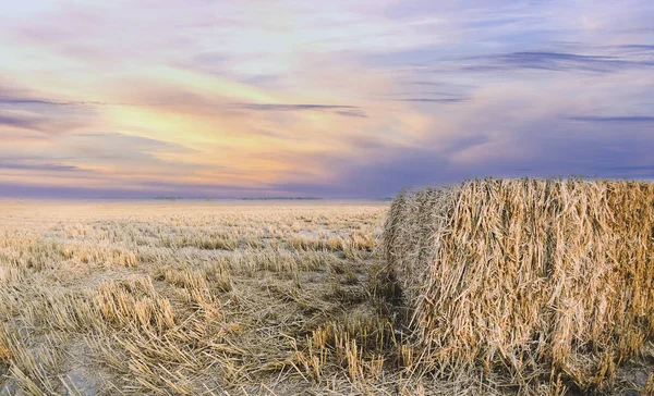 Сіно в селі Ліцензійні Стокові Фото