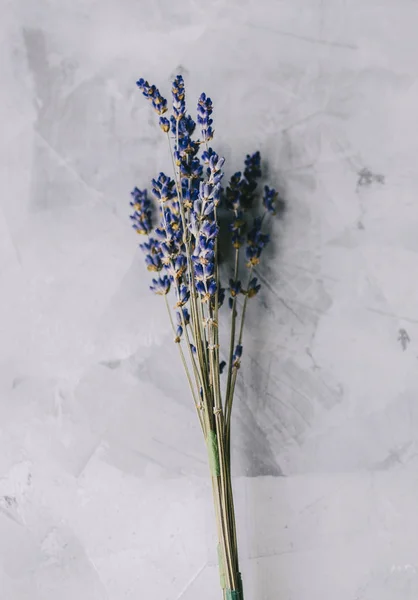 Bloemen in interieur — Stockfoto