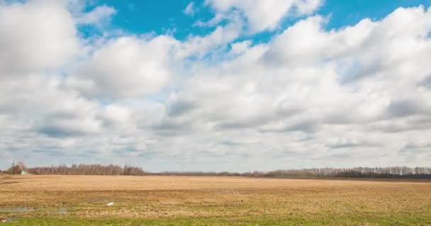 Timelapse Van Zwevende Wolken Het Veld Een Zonnige Lentedag — Stockvideo