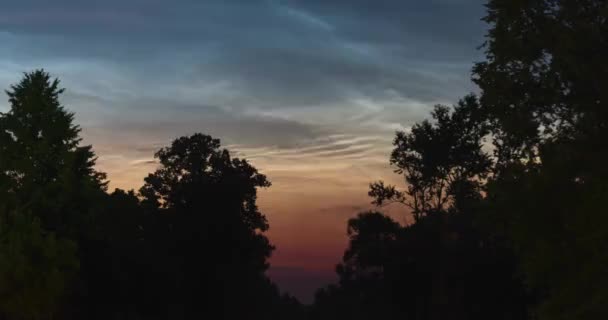 Timelapse Pływających Srebrnych Chmur Przed Świtem Nad Sylwetkami Drzew Letnią — Wideo stockowe