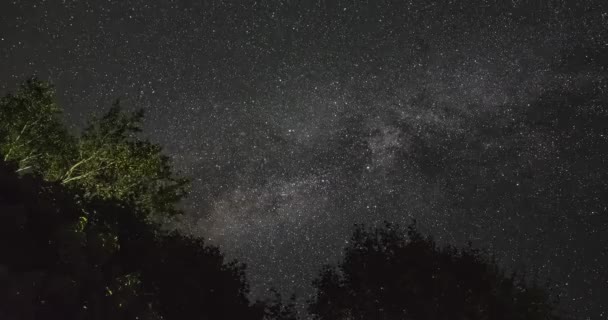 木々の上の夜空の天の川のタイムラプス — ストック動画