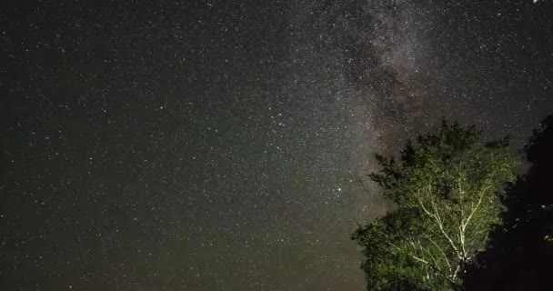 Timelapse Του Γαλακτώδη Τρόπο Στο Νυχτερινό Ουρανό Πάνω Από Δέντρα — Αρχείο Βίντεο