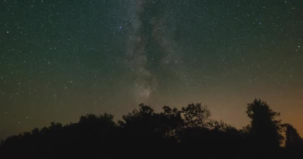 Timelapse Van Melkweg Aan Nachtelijke Hemel Boven Bomen — Stockvideo