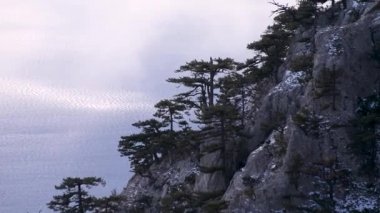 Dağlar arasında süzülür bulutlar denizin arka planında ve dağlarda ağaçlar ve karla