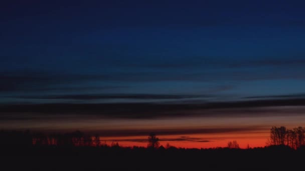 黎明前浮云掠过树木轮廓的时间 — 图库视频影像