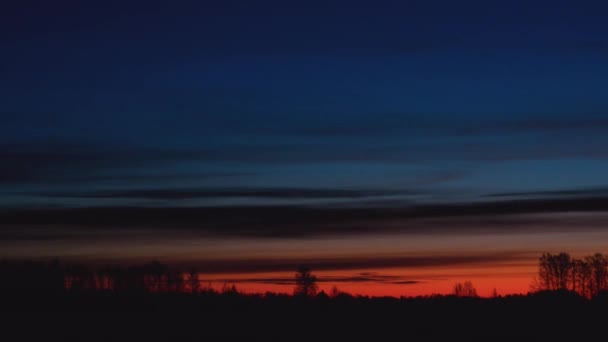 Timelapse Flytande Moln Före Gryningen Över Silhuetter Träd — Stockvideo