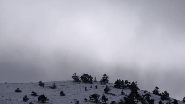 冬の日には小さな木で覆われた山の雪に覆われた丘の上に速く動く雲 — ストック動画