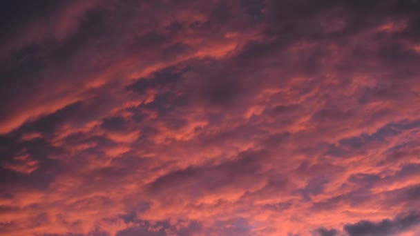 Nubes Rosadas Flotan Atardecer Gradualmente Vuelven Azules — Vídeos de Stock