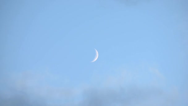 Nuvole Galleggiano Durante Giorno Luna Nuova Sbircia Fuori Dietro Loro — Video Stock