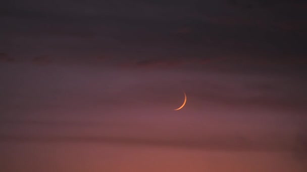 深紅の夕日を背景にした若い三日月 浮いている雲の間の月は バラ色の日没で沈んでいます 日没時に雲が浮かぶ — ストック動画