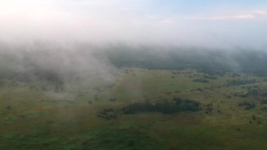 Hava görüntüsü: Ormanın üzerinde yüzen bulutlar, bulutların içinde kamera