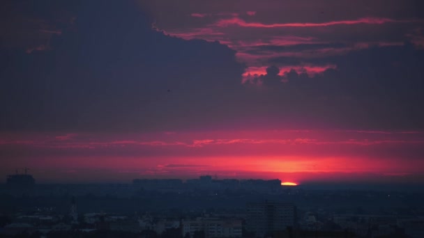 Sole Sta Affondando Sotto Orizzonte Sopra Città Rondini Sorvolano Città — Video Stock