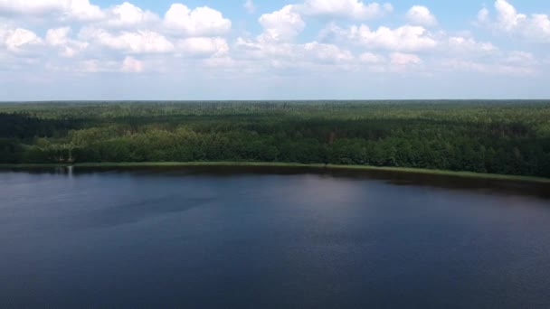 Letecký Výhled Velké Jezero Blízkosti Rozlehlého Lesa Letního Dne Rusku — Stock video