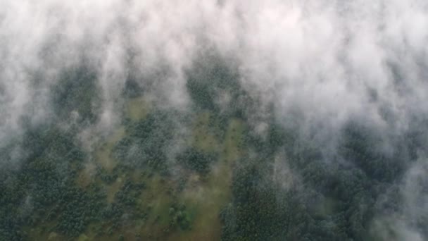 Vue aérienne : nuages flottants au-dessus de la forêt, caméra au-dessus des nuages