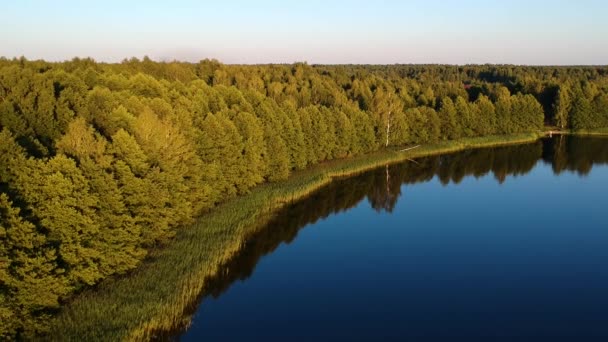 Αεροφωτογραφία Μια Μεγάλη Λίμνη Κοντά Ένα Απέραντο Δάσος Μια Καλοκαιρινή — Αρχείο Βίντεο