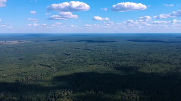 夏の日には畑や森を飛び越え 緑の森の高さからの眺め — ストック動画