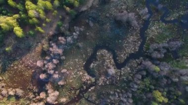 Bir bahar günü, küçük ve dolambaçlı bir nehrin üzerinde uçmak, yükseklerden bir manzara.