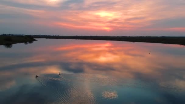 Deux Canards Nagent Ensemble Sur Rivière Lors Magnifique Coucher Soleil — Video