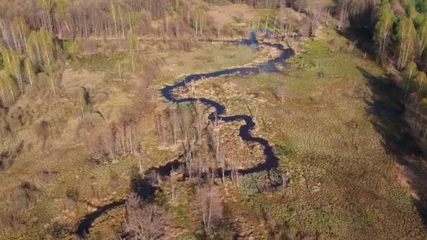 春天的一天 从高处俯瞰着森林里一条蜿蜒曲折的小河 — 图库视频影像