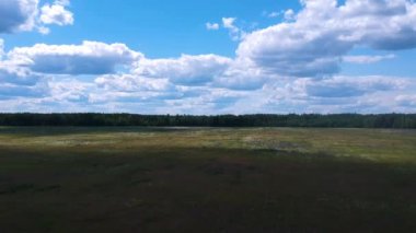 Hava manzarası: Büyük bir buluttan gelen karanlık bir çizgi bir yaz günü kır çiçeklerinin olduğu bir tarlayı kaplar.