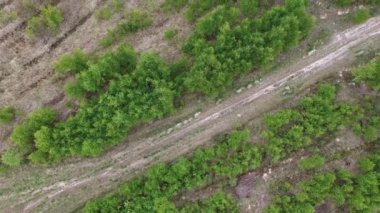 Bir köy yolunun kuş bakışı manzarası, su birikintileri olan genç bir ormanda kumlu bir yol.