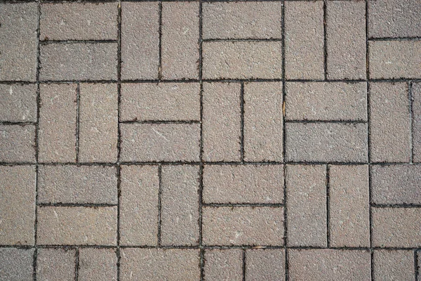 Текстура Сірої Тротуарної Плитки — стокове фото