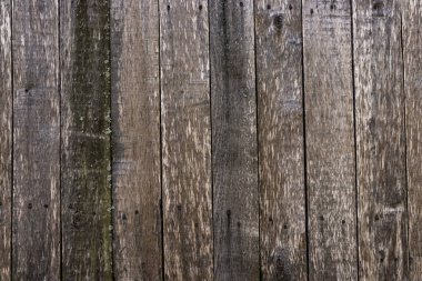 Tahtadan yapılmamış eski bir duvarın dokusu. Tahtada bir sürü düğüm var.