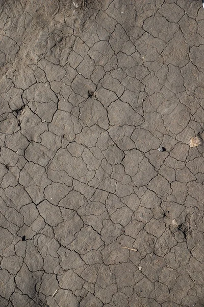 Textuur Van Barsten Het Droge Tijdens Een Droogte — Stockfoto