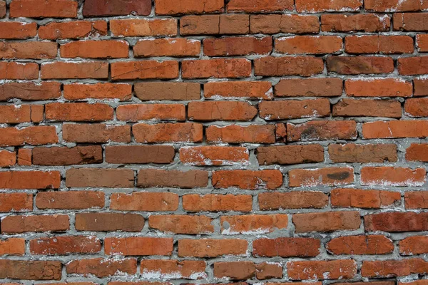 Textura Pared Ladrillo Rojo — Foto de Stock