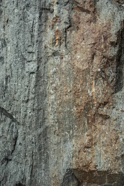 Textura Pedra — Fotografia de Stock