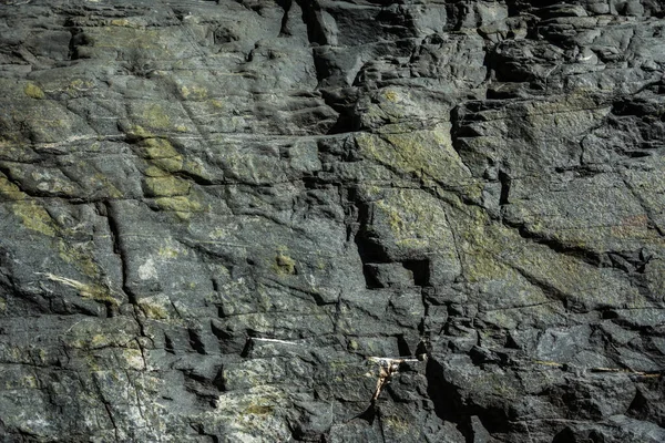 Textura Pedra — Fotografia de Stock