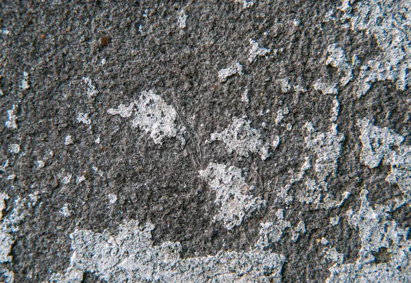 Texture White Battered Concrete Wall Closeup — Stock Photo, Image