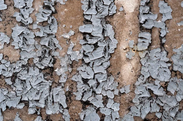 Ξεφλουδισμένη Γκρι Μπογιά Στις Πέτρινες Σανίδες Των Τοίχων — Φωτογραφία Αρχείου