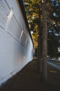 Kalenin beyaz duvarı ve gün batımında bir çam ağacının yanında.