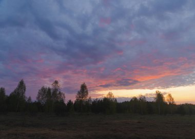 İlkbaharda ormanın kıyısında sabah kızıl şafak