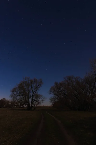 Camino Primavera Bosque Sombrío Noche Estrellada Luz Luna — Foto de Stock