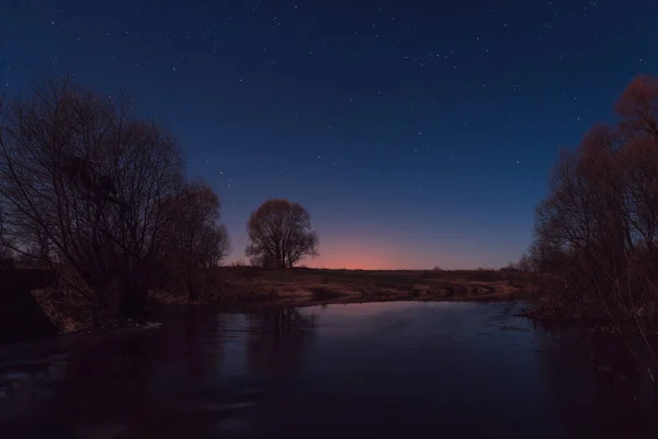 Tree River Starry Night Moonlight — Stock Photo, Image