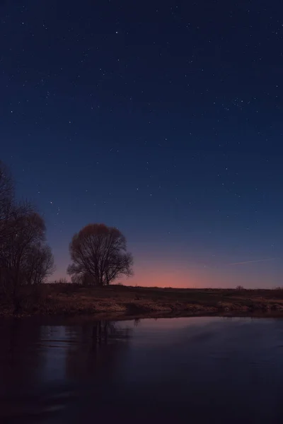 Nehrin kıyısındaki ağaç ay ışığında yıldızlı gece
